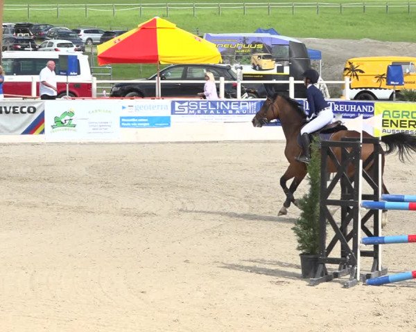 Reitturnier Galgenen 2019