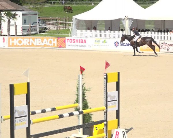 Reitturnier Galgenen 2019
