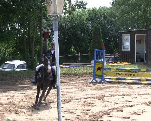Reitturnier Rantrum 2019