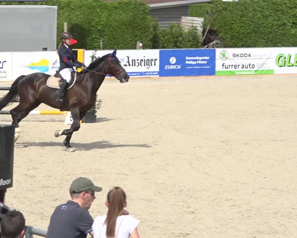 Reitturnier Galgenen 2019