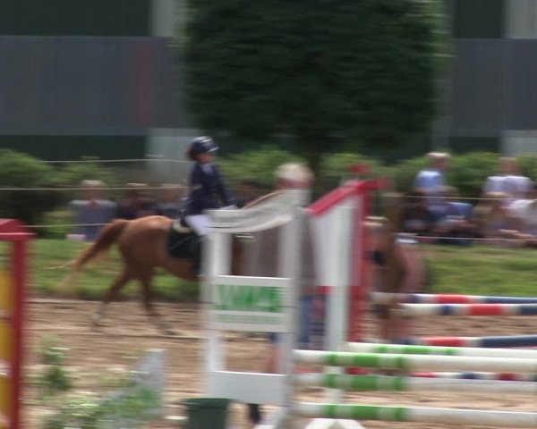 Reitturnier Rantrum 2019
