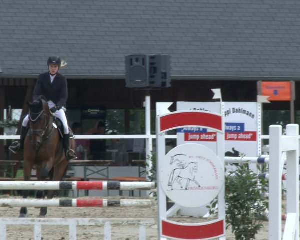 Reitturnier Fröndenberg 2019