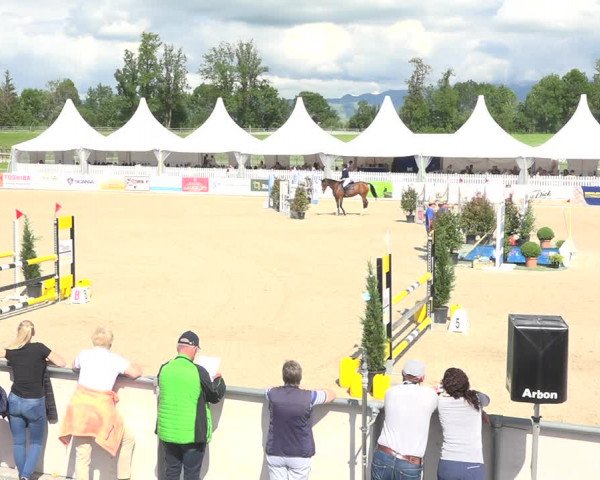 Reitturnier Galgenen 2019