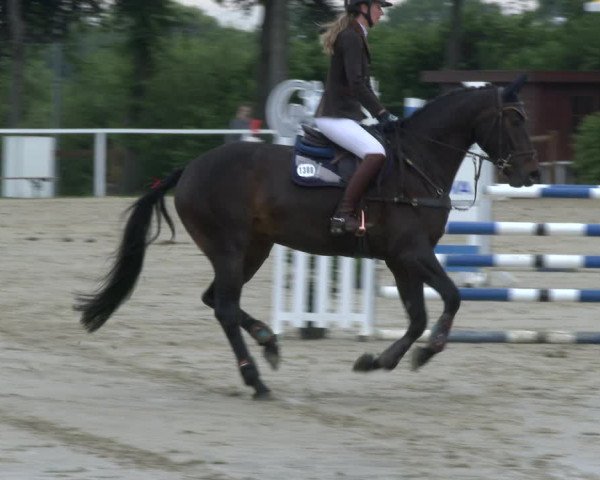 Reitturnier Fröndenberg 2019