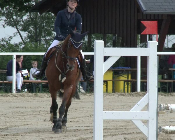 Reitturnier Fröndenberg 2019