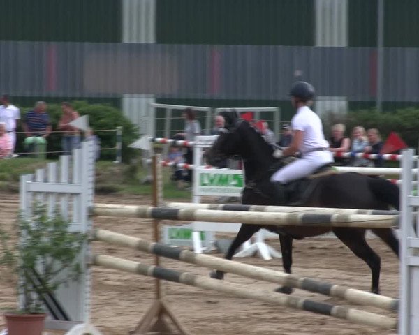 Reitturnier Rantrum 2019