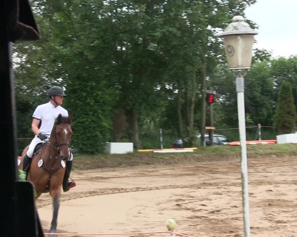 Reitturnier Rantrum 2019