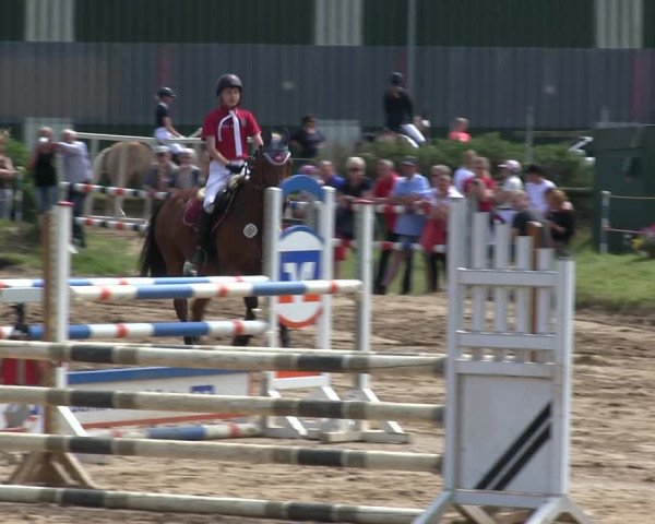 Reitturnier Rantrum 2019