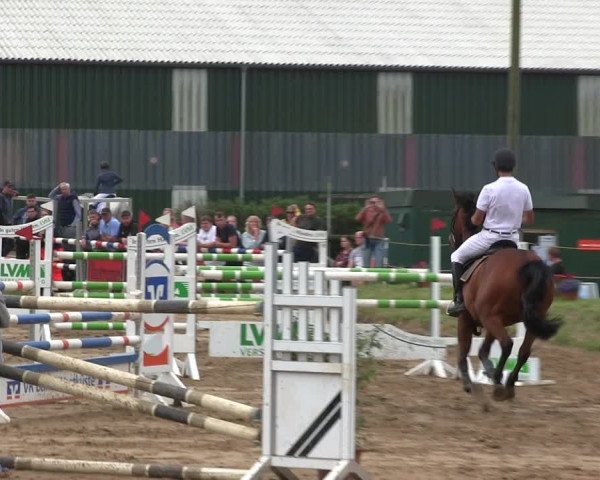 Reitturnier Rantrum 2019