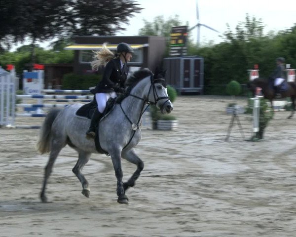 Reitturnier Fröndenberg 2019