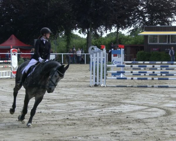 Reitturnier Fröndenberg 2019