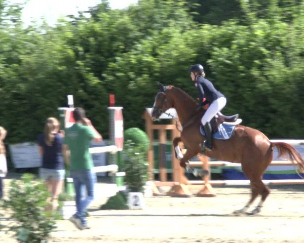 Reitturnier Fröndenberg 2019