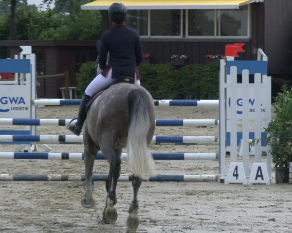 Reitturnier Fröndenberg 2019