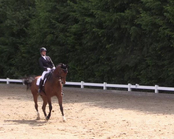 Reitturnier Halver 2019