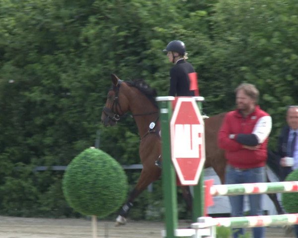 Reitturnier Fröndenberg 2019