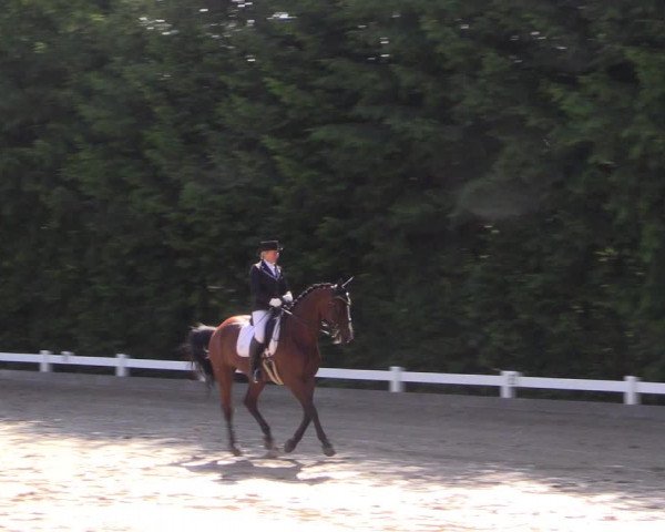 Reitturnier Halver 2019