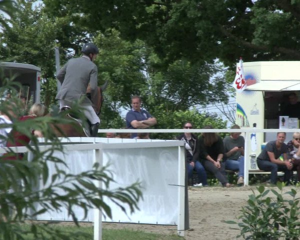 Reitturnier Fröndenberg 2019