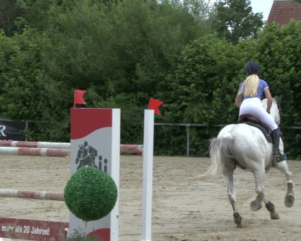 Reitturnier Fröndenberg 2019