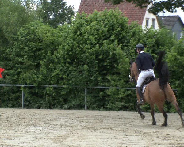 Reitturnier Fröndenberg 2019