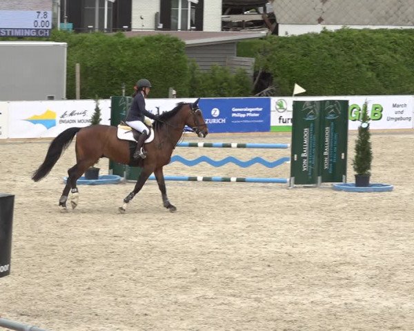 Reitturnier Galgenen 2019