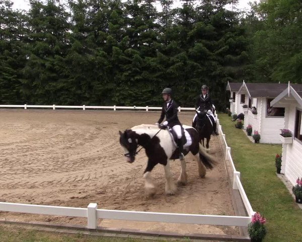 Reitturnier Halver 2019