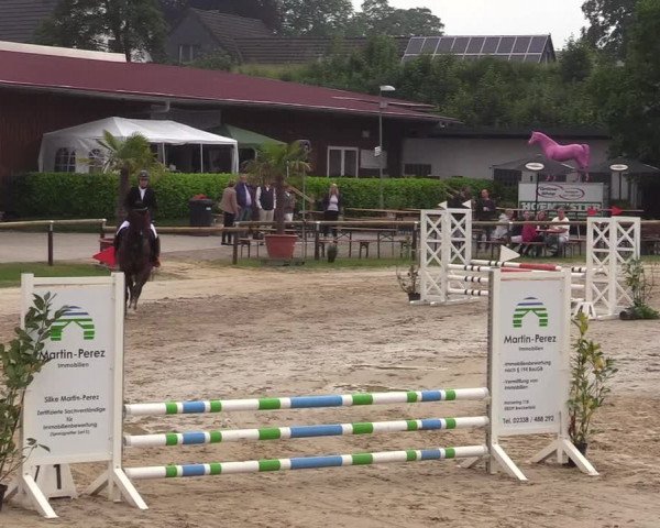 Reitturnier Halver 2019