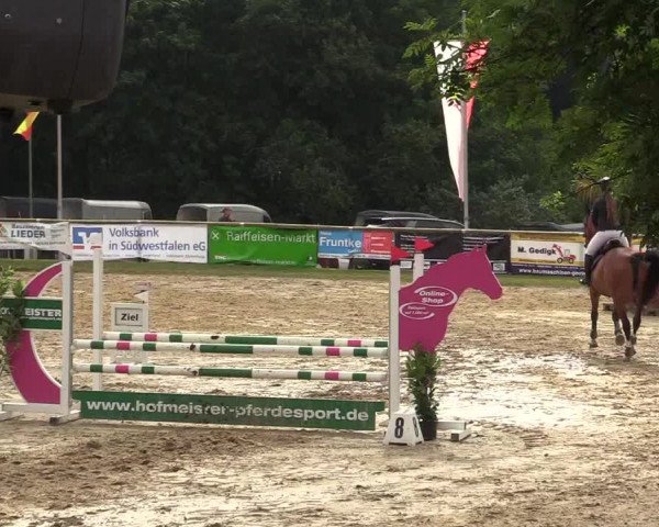 Reitturnier Halver 2019