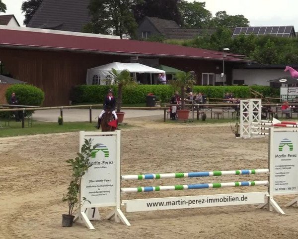 Reitturnier Halver 2019