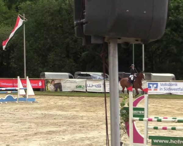 Reitturnier Halver 2019