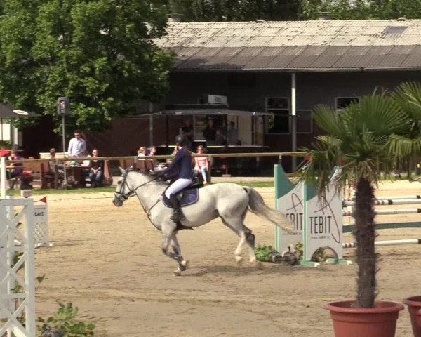 Reitturnier Halver 2019