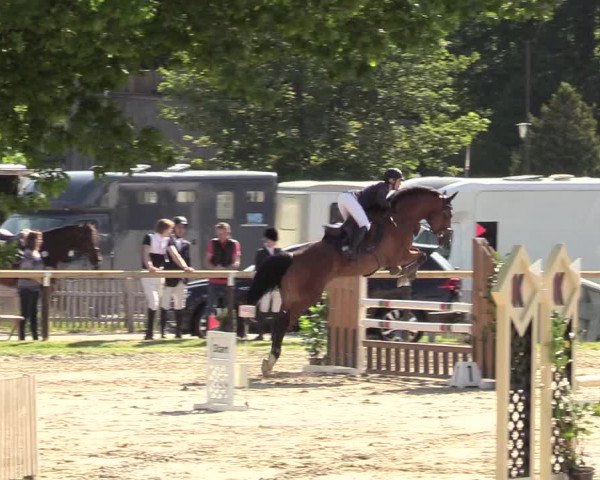 Reitturnier Halver 2019