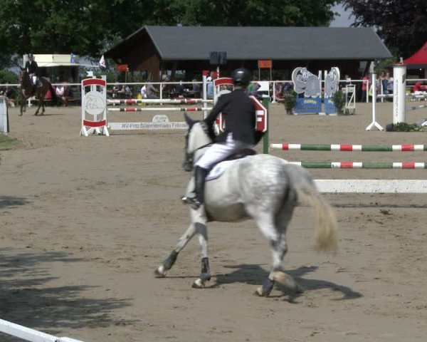 Reitturnier Fröndenberg 2019