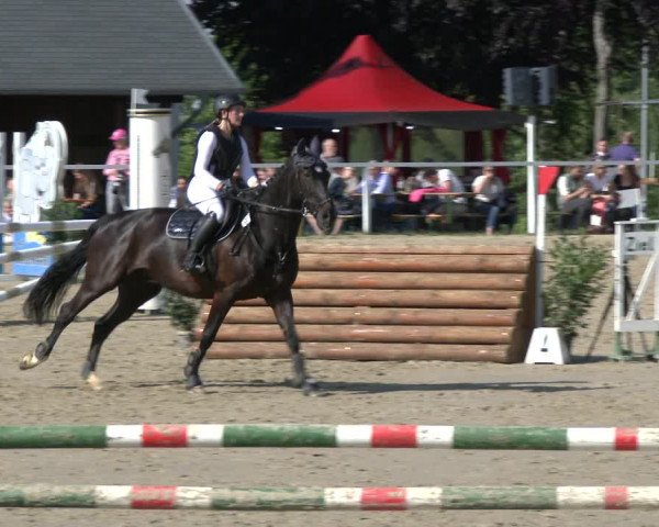 Reitturnier Fröndenberg 2019