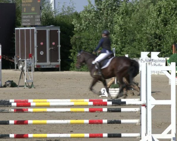 Reitturnier Fröndenberg 2019