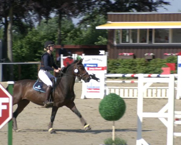 Reitturnier Fröndenberg 2019