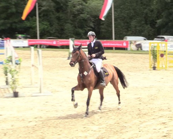 Reitturnier Halver 2019