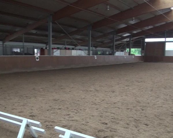 Reitturnier Fröndenberg 2019