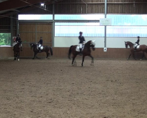 Reitturnier Fröndenberg 2019