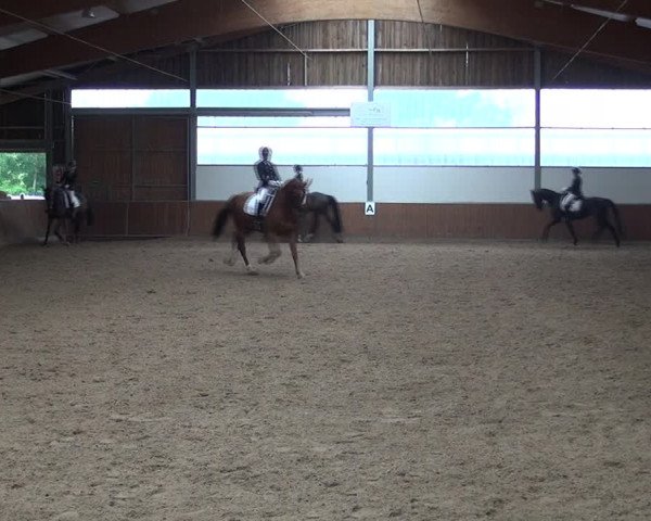 Reitturnier Fröndenberg 2019