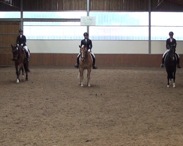 Reitturnier Fröndenberg 2019
