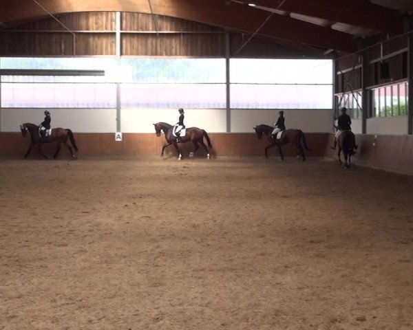 Reitturnier Fröndenberg 2019