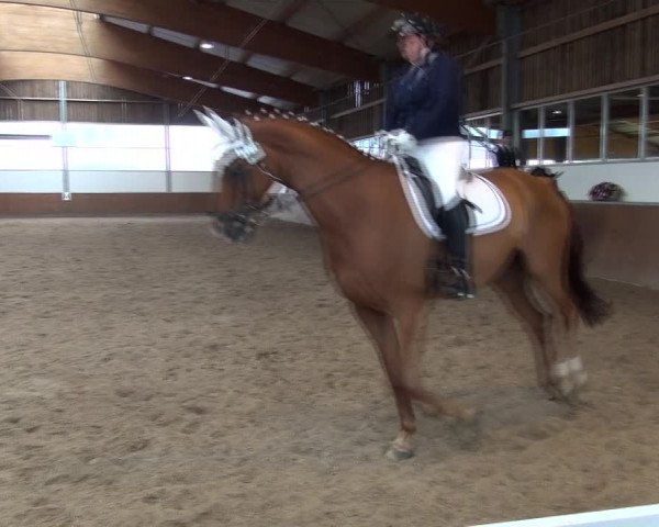 Reitturnier Fröndenberg 2019