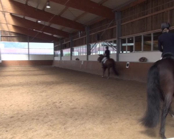 Reitturnier Fröndenberg 2019