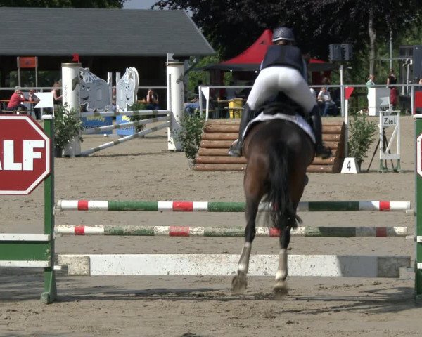 Reitturnier Fröndenberg 2019