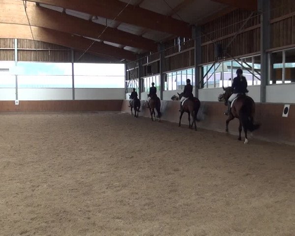 Reitturnier Fröndenberg 2019