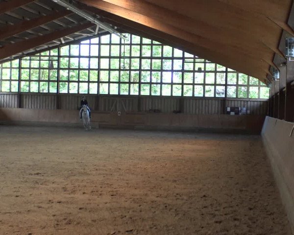 Reitturnier Fröndenberg 2019