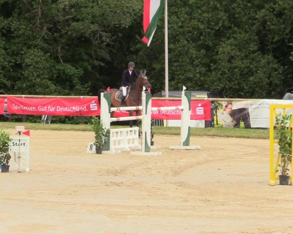 Reitturnier Halver 2019