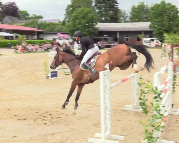 Reitturnier Halver 2019