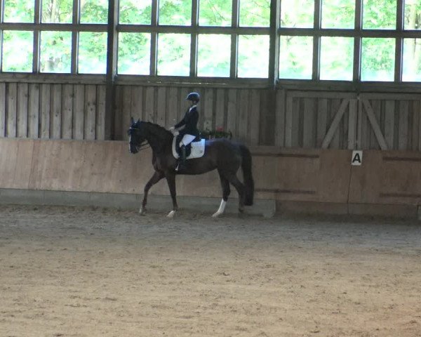 Reitturnier Fröndenberg 2019