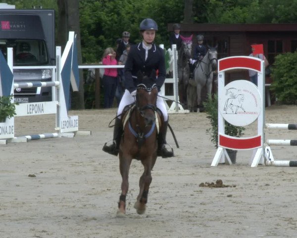 Reitturnier Fröndenberg 2019